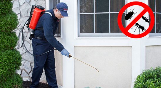 Dulkadiroğlu Bit İlaçlama böcek ilaçlama ve haşere kontrolü — ilaclama-tr.com